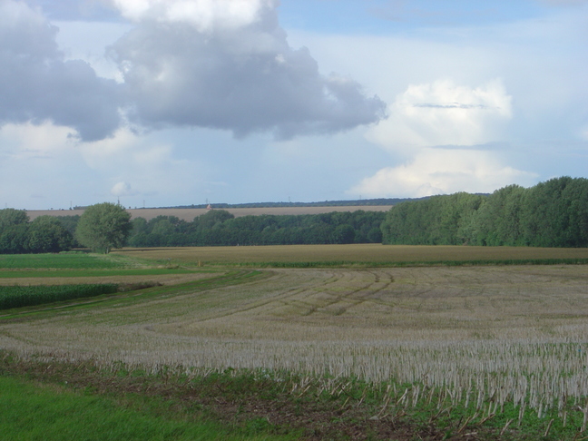 DSC01222